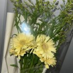 Meenoi Instagram -