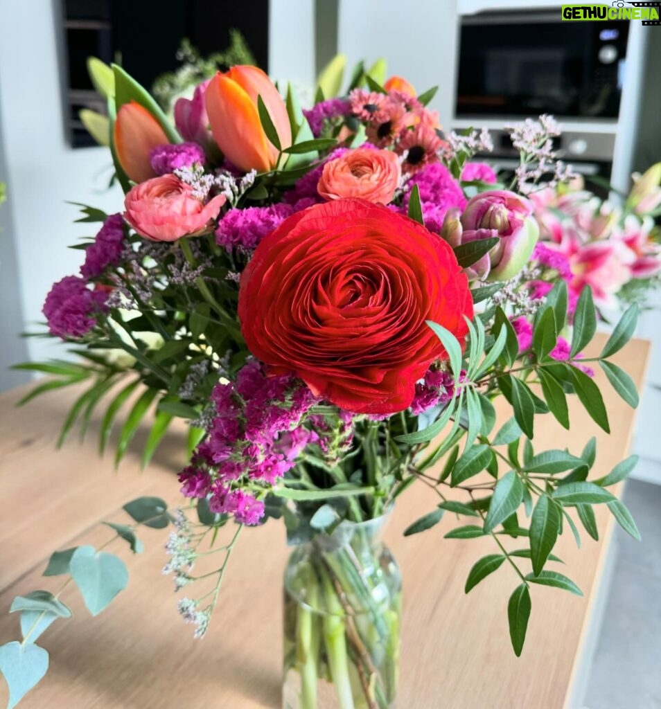 Meg Verschelle Instagram - MERCI 🥹🙏🏻 Ne m’offrez plus de fleurs, je n’ai plus de vases !! 💐😂