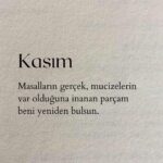 Melek Baykal Instagram - 🍂 Hoşgeldin KASIM 🍂