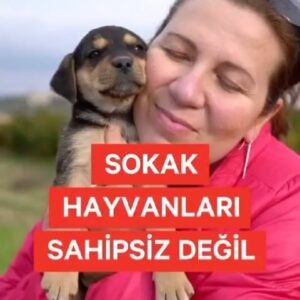 Melek Baykal Thumbnail - 20.5K Likes - Top Liked Instagram Posts and Photos