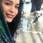 Melika Sharifinia Instagram - ا صد و یک سگ خالدار یادتونه؟ من عاااشق این کارتون بودم 😍 فیلمشو که ساختن که دیگه کلا از خوشی مردم ! به نظرم سگ‌های خالدار یکی از زیباترین نژادهای سگ‌ها هستن و جالب‌ترین اتفاقشون برای من اینه که همه‌شون سفید به دنیا میان و بعد از یکی دو ماه تازه خالاشون مشخص میشه ! این برای من اوج جذابیتشونه... درست مثل ظاهر شدن یک عکس... یا وقتی تو نقاشی داری همینطور رنگ روی رنگ می‌پاشی تا ببینی چه طرحی بهت میده ! به نظرم آقای خدا وقتی این فسقلیا رو خلق کرده خیلی دلش سورپرایز می‌خواسته و ساعت‌ها همه چیزو ول کرده و نشسته ببینه هرکدومشون چه شکلی میشن ! 😀 همیشه دلم می‌خواست منم صد و‌ یکی از اینا داشتم و می‌تونستم ظاهر شدن خال‌هاشونو ببینم ! شما چطور ؟ 😍 ا پ ن : خدای من آقاست ، همین‌قدرم جالب و کنجکاوه خدای شما ، خب... خدای خودتونه ! 🙂 ا درضمن این هاپوی زیبا مال نیست ولی برای واگذاری گذاشتن اگر کسی واقعا می خوادش و شرایط نگهداریش رو داره می‌تونه به این پیج مراجعه کنه ، دکتر ساسان عزیز راهنماییشون می‌کنن 👈 @dr.sasan.vet 👉🌹 ا
