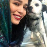 Melika Sharifinia Instagram - ا صد و یک سگ خالدار یادتونه؟ من عاااشق این کارتون بودم 😍 فیلمشو که ساختن که دیگه کلا از خوشی مردم ! به نظرم سگ‌های خالدار یکی از زیباترین نژادهای سگ‌ها هستن و جالب‌ترین اتفاقشون برای من اینه که همه‌شون سفید به دنیا میان و بعد از یکی دو ماه تازه خالاشون مشخص میشه ! این برای من اوج جذابیتشونه... درست مثل ظاهر شدن یک عکس... یا وقتی تو نقاشی داری همینطور رنگ روی رنگ می‌پاشی تا ببینی چه طرحی بهت میده ! به نظرم آقای خدا وقتی این فسقلیا رو خلق کرده خیلی دلش سورپرایز می‌خواسته و ساعت‌ها همه چیزو ول کرده و نشسته ببینه هرکدومشون چه شکلی میشن ! 😀 همیشه دلم می‌خواست منم صد و‌ یکی از اینا داشتم و می‌تونستم ظاهر شدن خال‌هاشونو ببینم ! شما چطور ؟ 😍 ا پ ن : خدای من آقاست ، همین‌قدرم جالب و کنجکاوه خدای شما ، خب... خدای خودتونه ! 🙂 ا درضمن این هاپوی زیبا مال نیست ولی برای واگذاری گذاشتن اگر کسی واقعا می خوادش و شرایط نگهداریش رو داره می‌تونه به این پیج مراجعه کنه ، دکتر ساسان عزیز راهنماییشون می‌کنن 👈 @dr.sasan.vet 👉🌹 ا