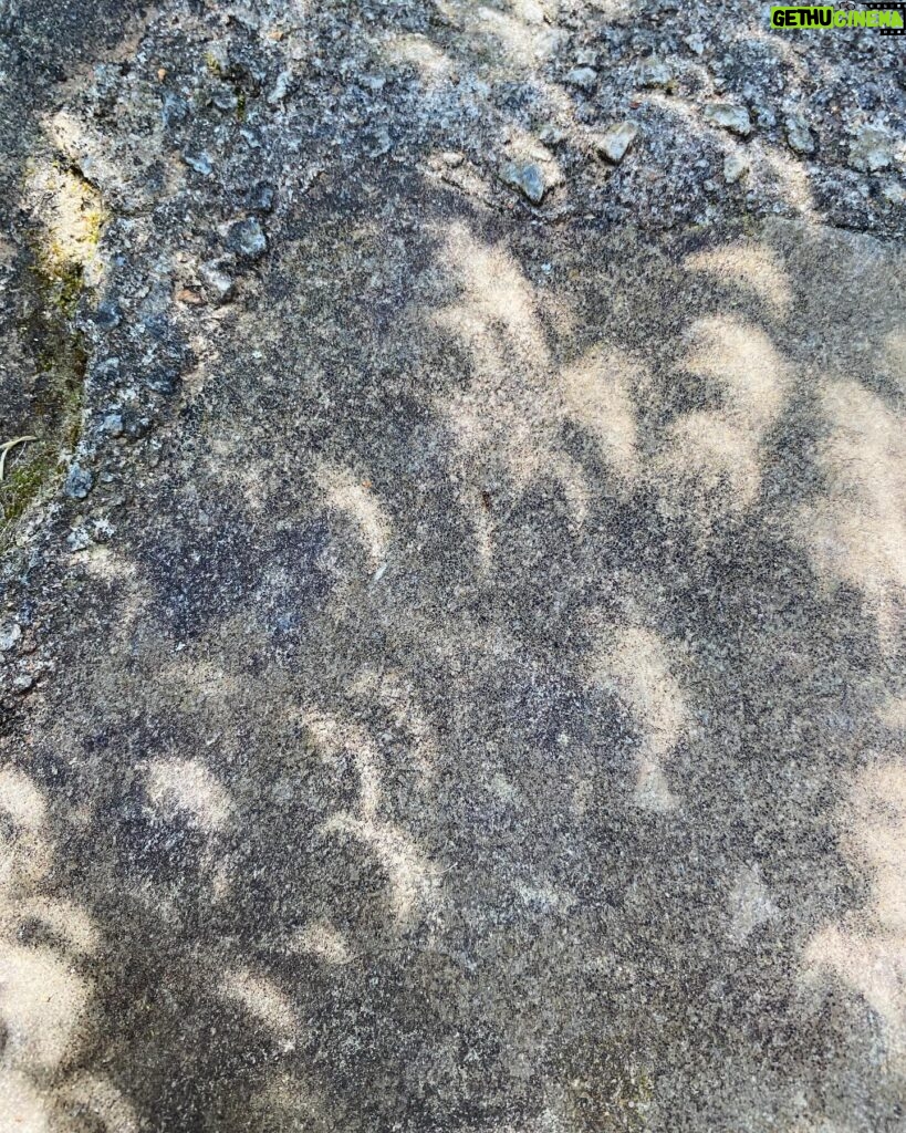 Melissa Ponzio Instagram - 80% #eclipse with chance of crescents ;) Happy #MoonDay everyone!!!