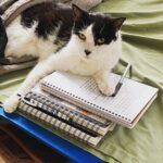 Melissa Ponzio Instagram – Dear Diary…I wish I had thumbs. Love, Roo.