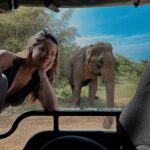 Melyssa Pinto Instagram - Aprendiendo, sanando y mejorando 🔁 Ultimo recap junto a estos seres maravillosos 🐘✨