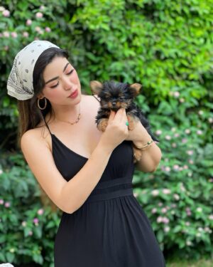 Merna Gamel Instagram - Mesteka’s granddaughter
 (MORGANA)🐶🥰🥰