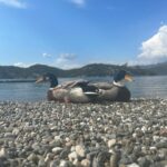 Merve Çağıran Instagram - İki ördek bi yengeç