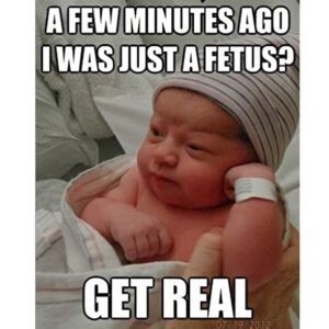 Mia Dinoto Instagram - Enough with the euphemisms. If you support killing babies, just say it. Abortion is murder and that’s a fact. Facts don’t care about your feelings so whatever emotional excuse you have for killing babies doesn’t matter because it’s NEVER ok to kill an innocent human life.
-
#TurnToJesus #memes #memesdaily
