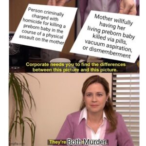 Mia Dinoto Instagram - Enough with the euphemisms. If you support killing babies, just say it. Abortion is murder and that’s a fact. Facts don’t care about your feelings so whatever emotional excuse you have for killing babies doesn’t matter because it’s NEVER ok to kill an innocent human life.
-
#TurnToJesus #memes #memesdaily