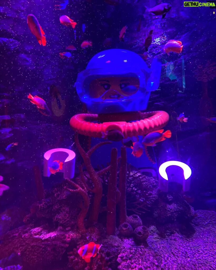 Mia Sara Nasuha Instagram - Day 2 at Legoland !! @legolandmalaysia We went to their sea life for the first time!! . . . #miasara #miasaranasuha #miayoutube