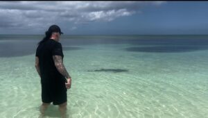 Michelle Leigh Calaway Instagram - I was simply enjoying a book on the beach when this “vegetation” looked a lot like a shark…..so I text hubby @undertaker 🦈😳kinda digging that last picture …A LOT😍#myprotector 🖤