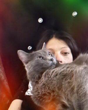Michelle Trachtenberg Instagram - Starlight Starbright, Sir Winston makes his wish tonight 😻! #cat #sweetdreams 💫
