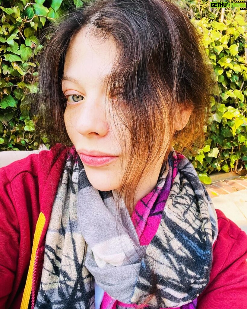 Michelle Trachtenberg Instagram - Sometimes I forget I’m a #natural #blonde ⚡️ Time to call @traceycunningham1 🔮 #nomakeupselfie