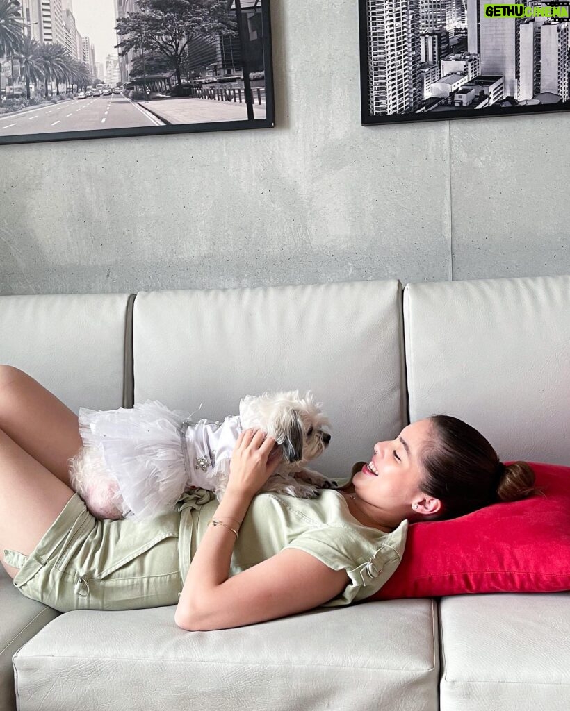 Michelle Vito Instagram - Those staycations where we can bring our fur babies along are the best. 🐾 We definitely had a great time! @bhotelqc 🤍 Wearing: @guess #guessph