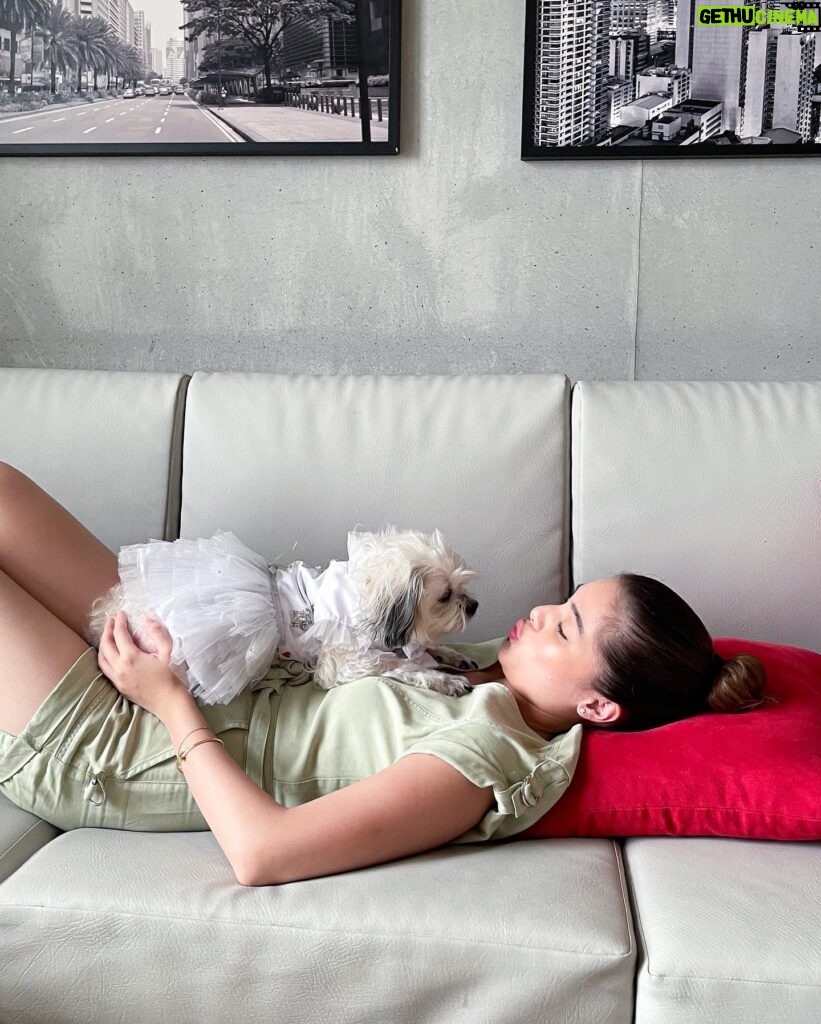 Michelle Vito Instagram - Those staycations where we can bring our fur babies along are the best. 🐾 We definitely had a great time! @bhotelqc 🤍 Wearing: @guess #guessph