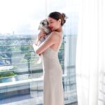 Michelle Vito Instagram - Another pet friendly hotel where our baby can stay and enjoy 🐶 We had a great time during the weekend @bhotelalabang 🤍