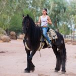 Miguel Mora Instagram - 🐎🐎 • • • #rancho #ranch #photography #photooftheday #horses #photoshoot