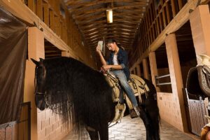 Miguel Mora Instagram - 🤠🤠
•
•
•
#rancho #ranch #horses #photography #photoshoot