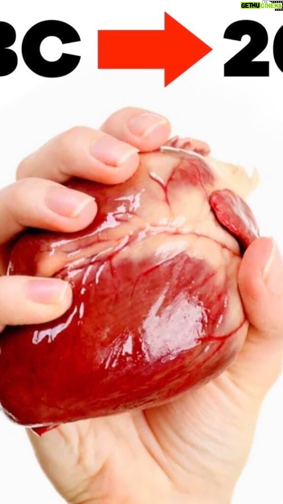 Mikhail Varshavski Instagram - @omronhealthcareus and I teamed up to present The Bizarre History of the Human Heart and what it can teach us about #hearthealth ❤️