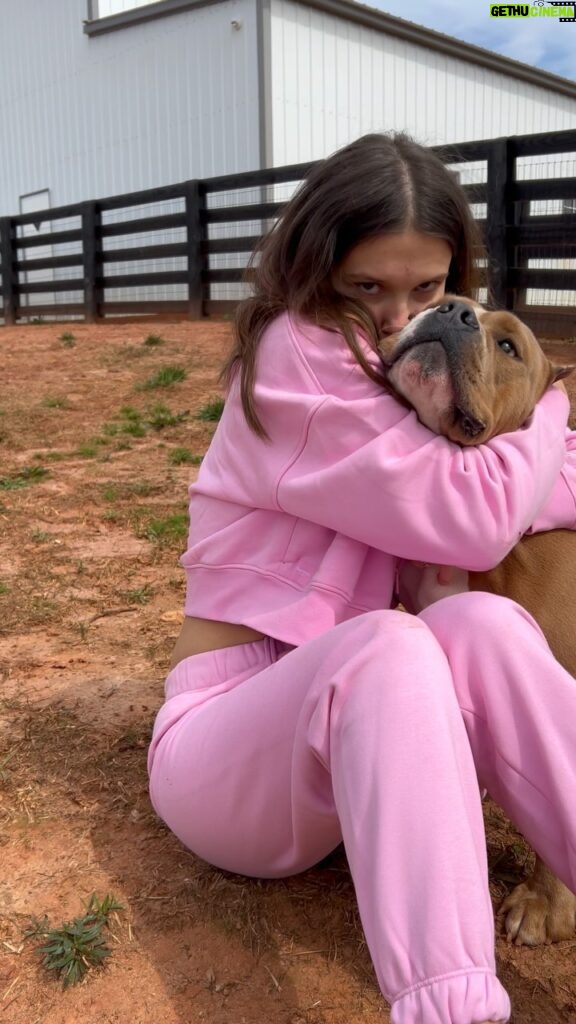 Millie Bobby Brown Instagram - My happy place, back with my foster dogs 🐶🐾 Buster is getting all the kisses this Monday morning xoxo Inquire to adopt Buster on our website!