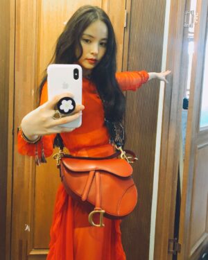 Min Hyo-rin Instagram - 💃💃💃#DiorSaddle @Dior #ellekorea