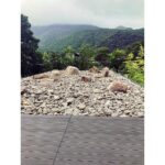 Min Hyo-rin Instagram - 🌳🌿🍃