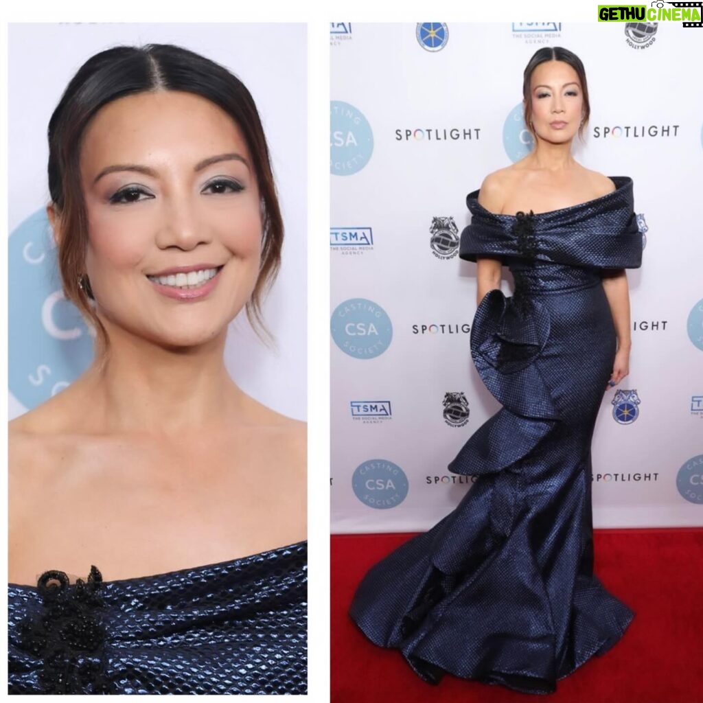 Ming-Na Wen Instagram - 💙💙💙💙 Congratulations to our amazing casting directors who we owe so much to for helping us get our foot in the door and be seen. Last night, THEY got to be seen and celebrated! Love to them all❤️🥰👏🏼 #artiosawards #redcarpet #castingdirectors @csacasting Makeup: @suzannaqface Hair: @kjersti.g.hair Gown: @hayariparis