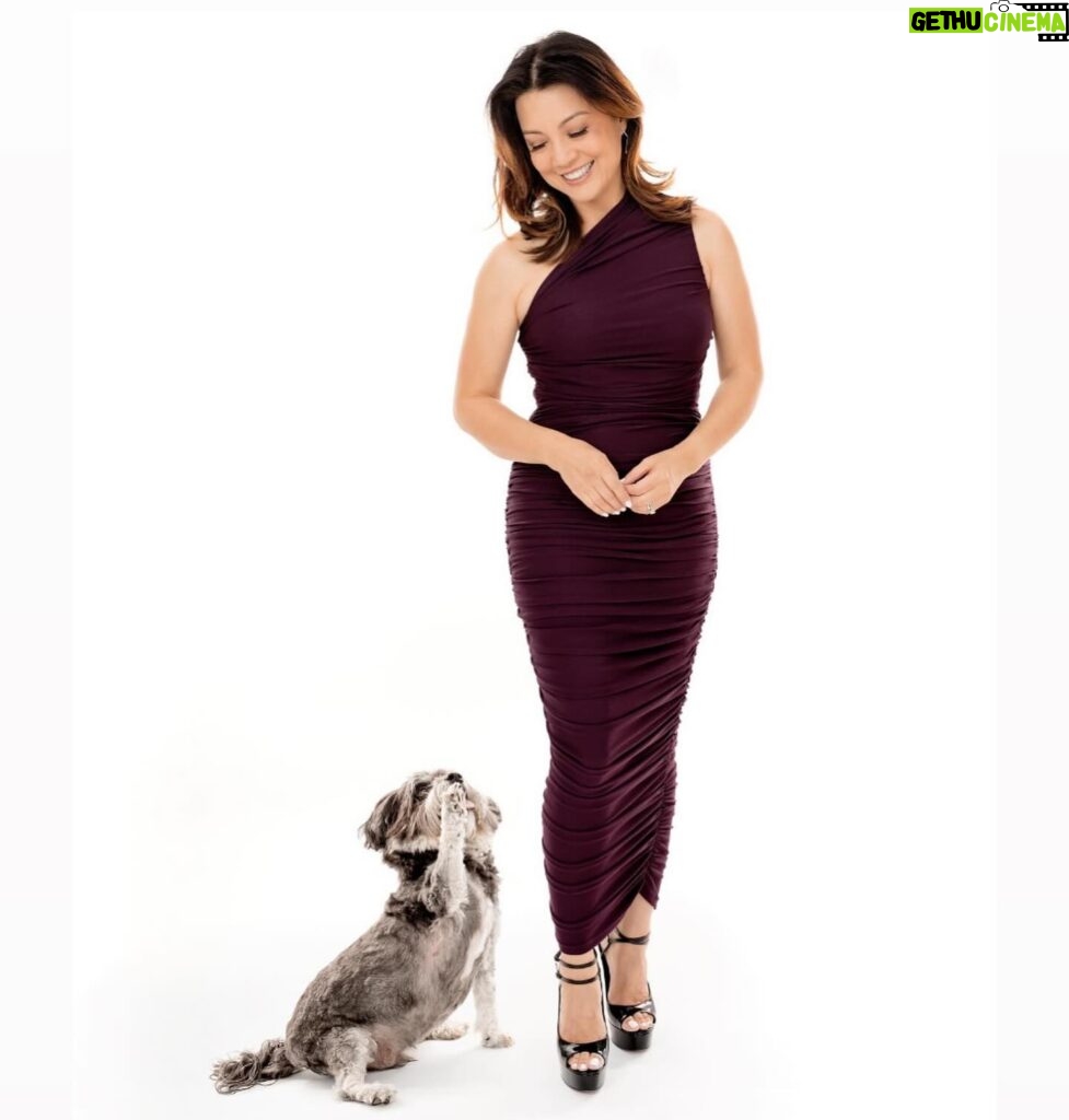 Ming-Na Wen Instagram - James rather play than pose!😂❤️ LOVE LOVE LOVE these wonderful photos with my furbaby. ❤️❤️💞🐾💖Thank you, @charlienunnphotography & Raymond for a fun shoot. And for a great cause! Their photo book will support @wagsandwalks. 👏🏼👏🏼👏🏼🐾🐾🐾 If you ever want great photos with your furbabies, check Charlie out. 💞❤️