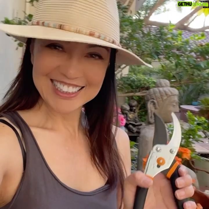 Ming-Na Wen Instagram - Garden Girl Time! Happiness is seeing my beautiful flowers bloom. 🌹🌸💐🌺🌷🪻 Empty Nester: Day 1 Let's see how much I get done. Maybe not do anything at all!😁