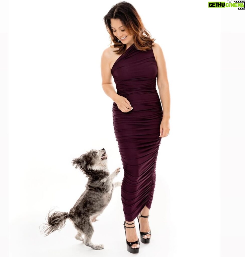 Ming-Na Wen Instagram - James rather play than pose!😂❤️ LOVE LOVE LOVE these wonderful photos with my furbaby. ❤️❤️💞🐾💖Thank you, @charlienunnphotography & Raymond for a fun shoot. And for a great cause! Their photo book will support @wagsandwalks. 👏🏼👏🏼👏🏼🐾🐾🐾 If you ever want great photos with your furbabies, check Charlie out. 💞❤️