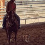 Minka Kelly Instagram - Soooo Freddy is a ranch dog now.