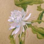 Minnie Mills Instagram - #WorldMentalHealthDay was a few days ago, and while I’m a little late, I wanted to share with you something I wrote. Mental illness is something that I have battled with my whole life, and for many years I let it define me and my self worth. I was inspired by Epiphyllum Oxypetalum, better known as The Queen of The Night or Tan Hua. This poem is a love letter to anyone who struggles with their mental health. A reminder that you are beautiful, that you are not a burden, and it is a privilege to love and be loved by you. Self love and healing is a journey and is rarely linear, there is no timeline, no one way it should look, no such thing as failure. I want to say thank you to the brilliant @rupikaur_ for inspiring me and helping me to share this with you all, and my dearest friends @sean.kauf and @isabelrmachado for giving me the courage and support to do so Thank you for reading this little piece of my heart. I hope you enjoy.