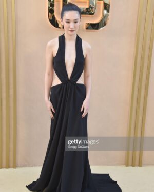 Minnie Mills Instagram - What a night! ✨ 
Honored and so grateful to @goldhouseco for having me at their beautiful celebration of culture, community, and accomplishment

Also big thanks to all the humans who made this look come to life:
Makeup: @mollygreenwald 
Hair: @clarissanya 
Styling: @sarahslutsky @carlee___ 
Dress: @chocheng 
And thank you for the wonderful team @victoriassecret @vspink for inviting me
