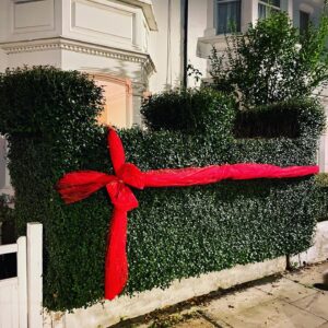 Miranda Hart Instagram - Bravo I say. Simple. Classy. No electricity. 🎄
And it means we can say “nice bush” with authority and glee. Obviously.