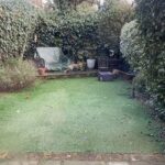 Miranda Hart Instagram - Fellow #winterwatch fans This is for #chrispackham who wanted to live with foxes and his poodles. I have a family of foxes next door and Patti the poodle cross doesn’t want to be friends. Yet. Thank you @bbcspringwatch for bringing us such glorious nature to our homes.