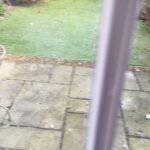 Miranda Hart Instagram - Fellow #winterwatch fans This is for #chrispackham who wanted to live with foxes and his poodles. I have a family of foxes next door and Patti the poodle cross doesn’t want to be friends. Yet. Thank you @bbcspringwatch for bringing us such glorious nature to our homes.
