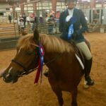 Miranda Lambert Instagram - The pretty inspiration behind the @idyllwind brand. This is Ellie (Idyllwind Ellund ). She is a Welsh Cob and she is a feisty red head. This is the first horse that really taught me to be brave and try things that scare me. I didn’t start riding until I was 30 but it was always a dream of mine. She kept me safe in the saddle and she showed how me to get in the show ring with confidence. Now I have 6 horses and riding is my biggest passion besides rescue animals and music. This brand @idyllwind is about being who you are, being brave and taking chances. About trying new things no matter where you are in your life. About going out there and getting what you want. Horses are the best teachers🐴. She is pretty much retired now at the farm living her best green pasture life but every time I ride her I think about our decade together and thank her for all the lessons. #idyllwindellund 🧡🐴
