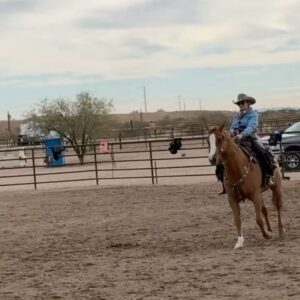 Miranda Lambert Instagram - Y’all …. I got to take a few days off  from the Velvet Rodeo in Vegas to go cowgirlin’ in AZ with my sweet friend @kenda_lenseigne. Thank you for welcoming  @samanthacrook1 and I into your bad ass gal gang and for introducing us to all your friends and family . Oh and thanks letting us camp in the bus in your yard for 3 days🤠🤷‍♀️. Everyone was so great to us. Your knowledge, kindness and skill blew our minds. And most importantly thank you for letting me ride Lieutenant Justin the legend. I’ll never get over that. What a horse. There were a lot of first time for everything’s this week. Mounted shooting, cutting and sorting cows, (thanks Kent and Janice ) and elk bourguignon made by Ian. Loved it all. Y’all can’t get rid of us now. See ya way too soon 🤠. 

Slide 3 Bam Bam doing Bam Bam things in the back😂. 🐴

Last slide is the boss @kenda_lenseigne showing us how it’s done. The actual Fastest Girl in Town. 

Take away sayin’s from the week …
Bear Down
Stay ready so you don’t have to get ready 
Do whatever is fun
No tears Tuesday 
Let’s give em a do over (3rd times a charm team ML and Kenda) 
Country Money (thanks Sam for repping my merch shirt😂)