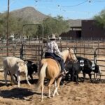 Miranda Lambert Instagram - Y’all …. I got to take a few days off from the Velvet Rodeo in Vegas to go cowgirlin’ in AZ with my sweet friend @kenda_lenseigne. Thank you for welcoming @samanthacrook1 and I into your bad ass gal gang and for introducing us to all your friends and family . Oh and thanks letting us camp in the bus in your yard for 3 days🤠🤷‍♀️. Everyone was so great to us. Your knowledge, kindness and skill blew our minds. And most importantly thank you for letting me ride Lieutenant Justin the legend. I’ll never get over that. What a horse. There were a lot of first time for everything’s this week. Mounted shooting, cutting and sorting cows, (thanks Kent and Janice ) and elk bourguignon made by Ian. Loved it all. Y’all can’t get rid of us now. See ya way too soon 🤠. Slide 3 Bam Bam doing Bam Bam things in the back😂. 🐴 Last slide is the boss @kenda_lenseigne showing us how it’s done. The actual Fastest Girl in Town. Take away sayin’s from the week … Bear Down Stay ready so you don’t have to get ready Do whatever is fun No tears Tuesday Let’s give em a do over (3rd times a charm team ML and Kenda) Country Money (thanks Sam for repping my merch shirt😂) New River, Arizona