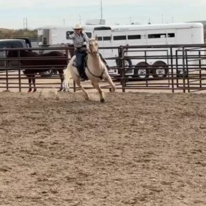 Miranda Lambert Instagram - Y’all …. I got to take a few days off  from the Velvet Rodeo in Vegas to go cowgirlin’ in AZ with my sweet friend @kenda_lenseigne. Thank you for welcoming  @samanthacrook1 and I into your bad ass gal gang and for introducing us to all your friends and family . Oh and thanks letting us camp in the bus in your yard for 3 days🤠🤷‍♀️. Everyone was so great to us. Your knowledge, kindness and skill blew our minds. And most importantly thank you for letting me ride Lieutenant Justin the legend. I’ll never get over that. What a horse. There were a lot of first time for everything’s this week. Mounted shooting, cutting and sorting cows, (thanks Kent and Janice ) and elk bourguignon made by Ian. Loved it all. Y’all can’t get rid of us now. See ya way too soon 🤠. 

Slide 3 Bam Bam doing Bam Bam things in the back😂. 🐴

Last slide is the boss @kenda_lenseigne showing us how it’s done. The actual Fastest Girl in Town. 

Take away sayin’s from the week …
Bear Down
Stay ready so you don’t have to get ready 
Do whatever is fun
No tears Tuesday 
Let’s give em a do over (3rd times a charm team ML and Kenda) 
Country Money (thanks Sam for repping my merch shirt😂)