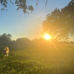 Miranda Lambert Instagram - Some Fall fav’s 🍁🍂🧡 @brendanjmcloughlin in his happy place😍 Mutt butt sunset ☀️ @muttnation @aaronraitiere puttin some more songs in my old pink guitar First time writing with dean dillon! 🤠hero Cowboy kisses 🐴 Casserole @wandajunehome Hay girl hay🙋‍♀️ @idyllwind Making songs with @ashleymonroemusic 🎶 Pasture party 🐴🐶 Couch potato 🐶