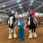 Miranda Lambert Instagram - First horse show since 2019! What a weekend. Thanks @samanthacrook1 for helping us get back in show mode! Gypsy Vanner’s forever💕🦄 Grady County Fair Grounds