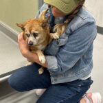 Miranda Lambert Instagram - I mean look at these sweet babies from @nevada.spca y’all!!! 💕🥰 Las Vegas, Nevada