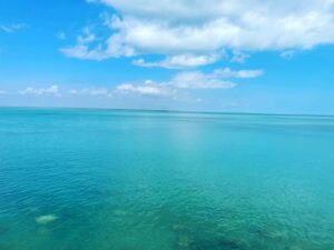 Miranda Otto Instagram - So beautiful but I can’t swim in it.