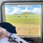 Miwako Kakei Instagram - Kenya🦓🦒🐆🦬🐄🐘🦁