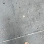 Molly Ringwald Instagram - The missing piece