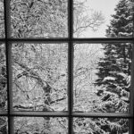 Molly Ringwald Instagram - Good morning ❄️