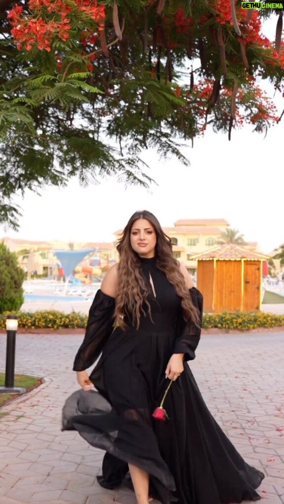 Mona Farouk Instagram - Beautiful Star @mona_farouk_official 🌹🌹 Dress @vano_ready_to_wear Photographer @youssef.mansour.ph @rehamsaalah @lebanese.beautycenter