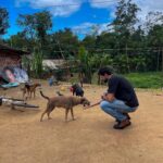 Murilo Cezar Instagram - ontem tivemos uma experiência única de adentrar na aldeia indígena aqui em Bertioga, para realizar uma doação de 300kg de ração. | ao todo na aldeia, são mais de 250 animais. | parabéns @caio_lima e @crossdogs_ por toda iniciativa e a @priscillaesbano por fazer esse lindo trabalho junto à aldeia.