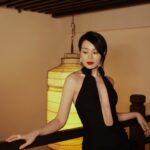 Myolie Wu Instagram - Throw back to this beautiful dress I love 🌹🖤 @magdabutrym #magdabutrym